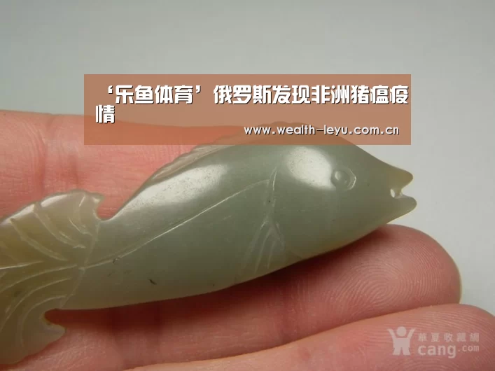 ‘乐鱼体育’俄罗斯发现非洲猪瘟疫情(图3) 乐鱼体育App下载