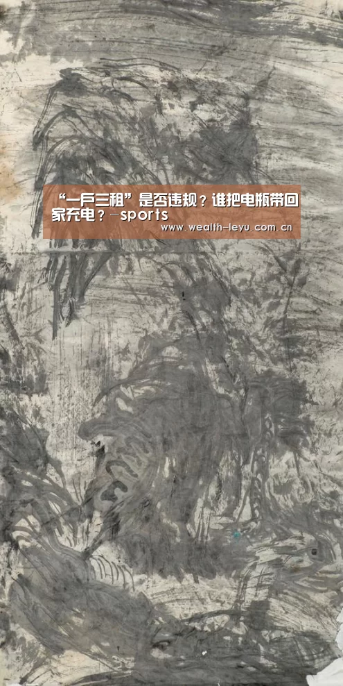 “一户三租”是否违规?谁把电瓶带回家充电?-sports(图2) 乐鱼体育App下载