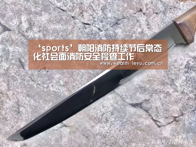 ‘sports’朝阳消防持续节后常态化社会面消防安全检查工作(图2) 乐鱼体育App下载