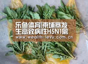 乐鱼体育|柬埔寨发生高致病性H5N1禽流感(图4) leyu体育官网