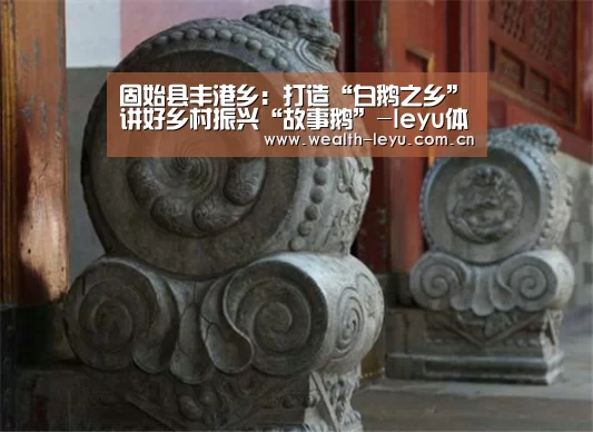 固始县丰港乡:打造“白鹅之乡”讲好乡村振兴“故事鹅”-leyu体育官网(图1) leyu体育官网
